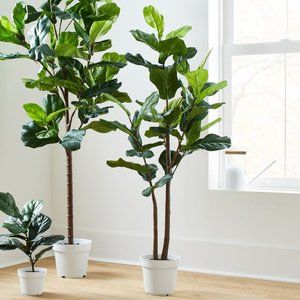 Faux Fiddle Leaf Tree (5 Feet Tall)